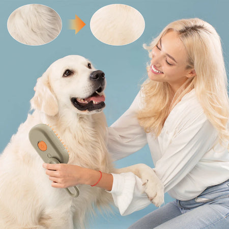 AquaPet Pro Brush